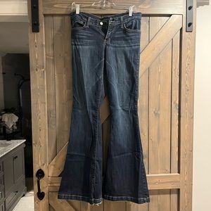 Flying Monkey Flare Jeans